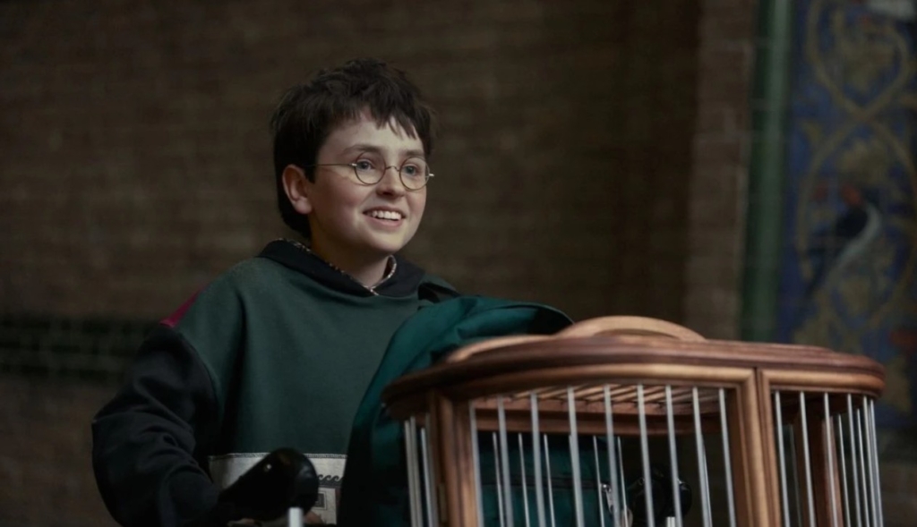 Harry Potter dizisi ne zaman çıkacak?