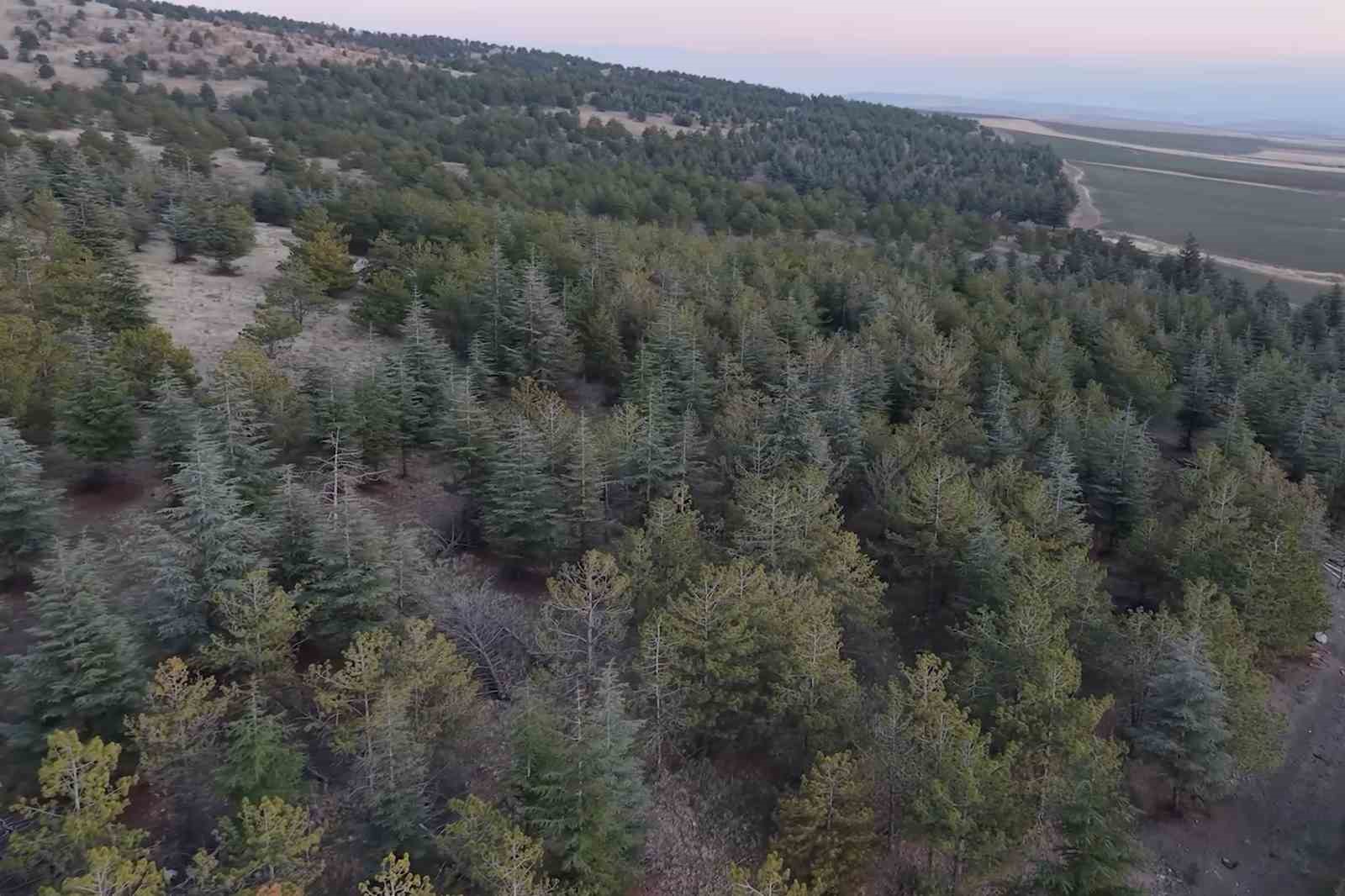 1 milyon 220 bin metrekarelik mera arazisinde imar plani iddiasi mufettisler incelemeye aldi 2 WVIdF1sB