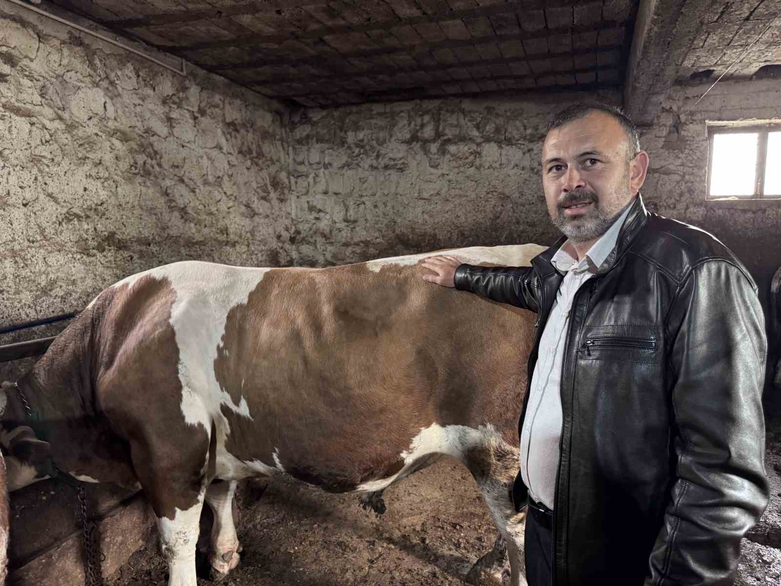 1 tonluk kocaoglan alicisini bekliyor 1 6AkQlF8l