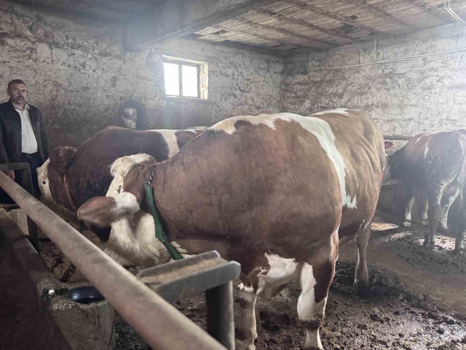 1 tonluk kocaoglan alicisini bekliyor 3 IyM33lB9