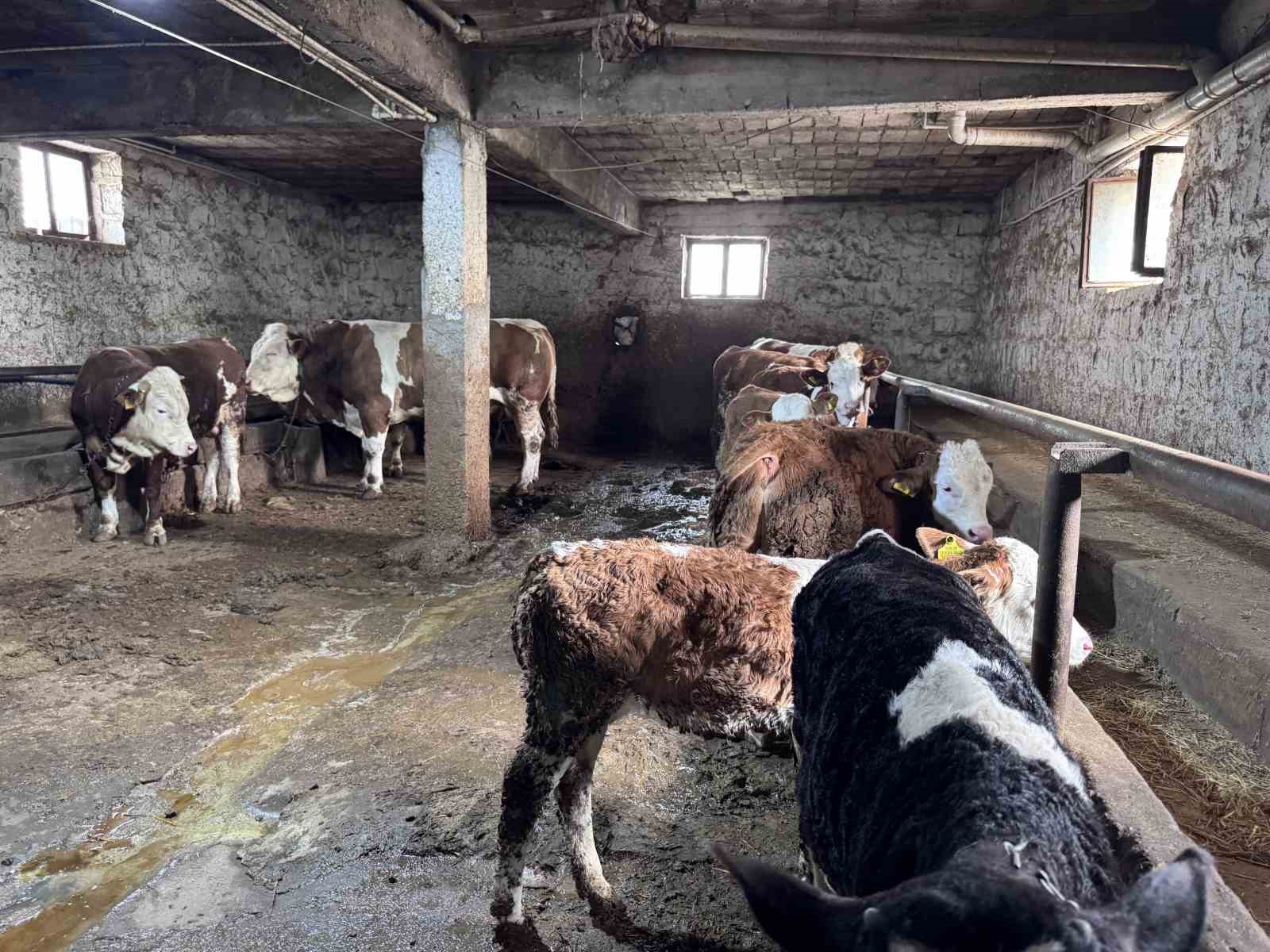 1 tonluk kocaoglan alicisini bekliyor 5