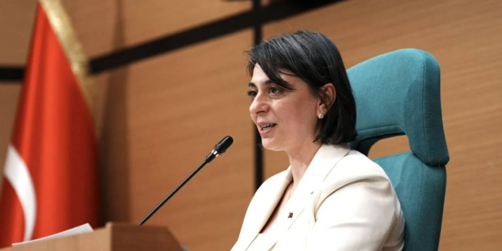 Sinem dedetaş kimdir ve kariyerine nasıl başladı?