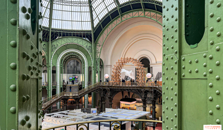 1121323-art-basel-2024-au-grand-palais-image00029
