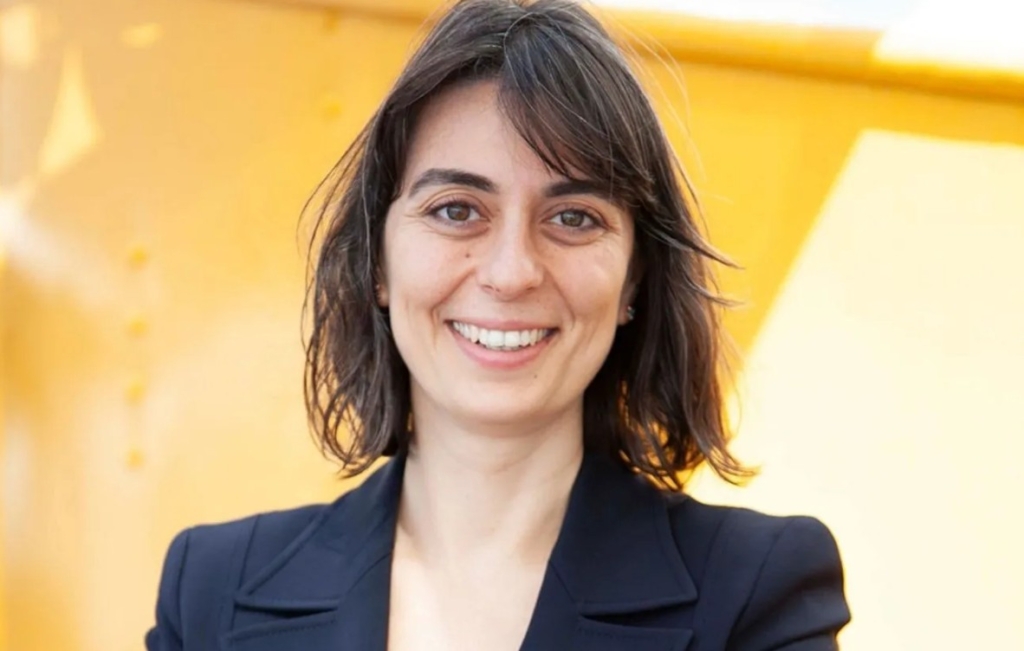 Sinem dedetaş kimdir ve meslek örgütlerinde hangi görevleri yaptı?