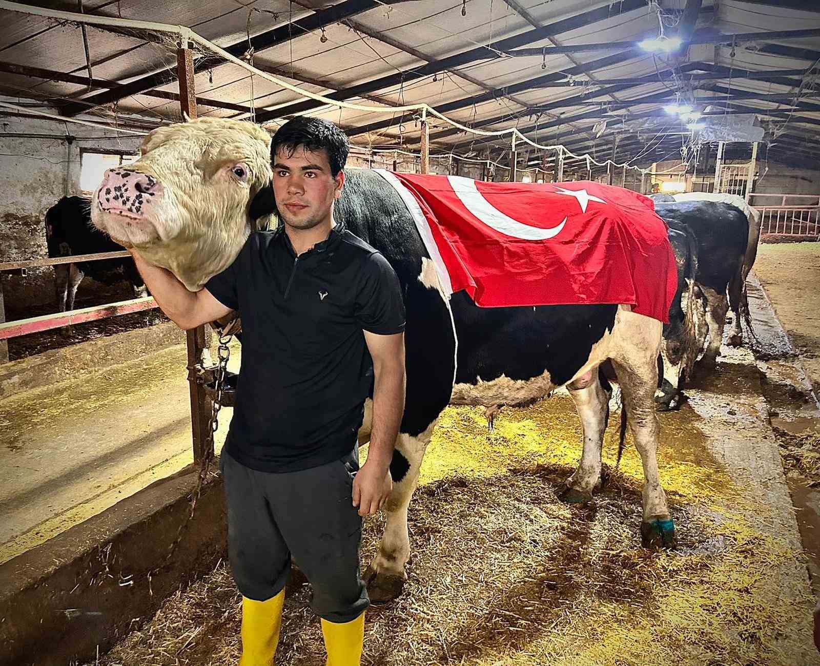12 tonluk dev pasa 650 bin liraya alicisini buldu 3