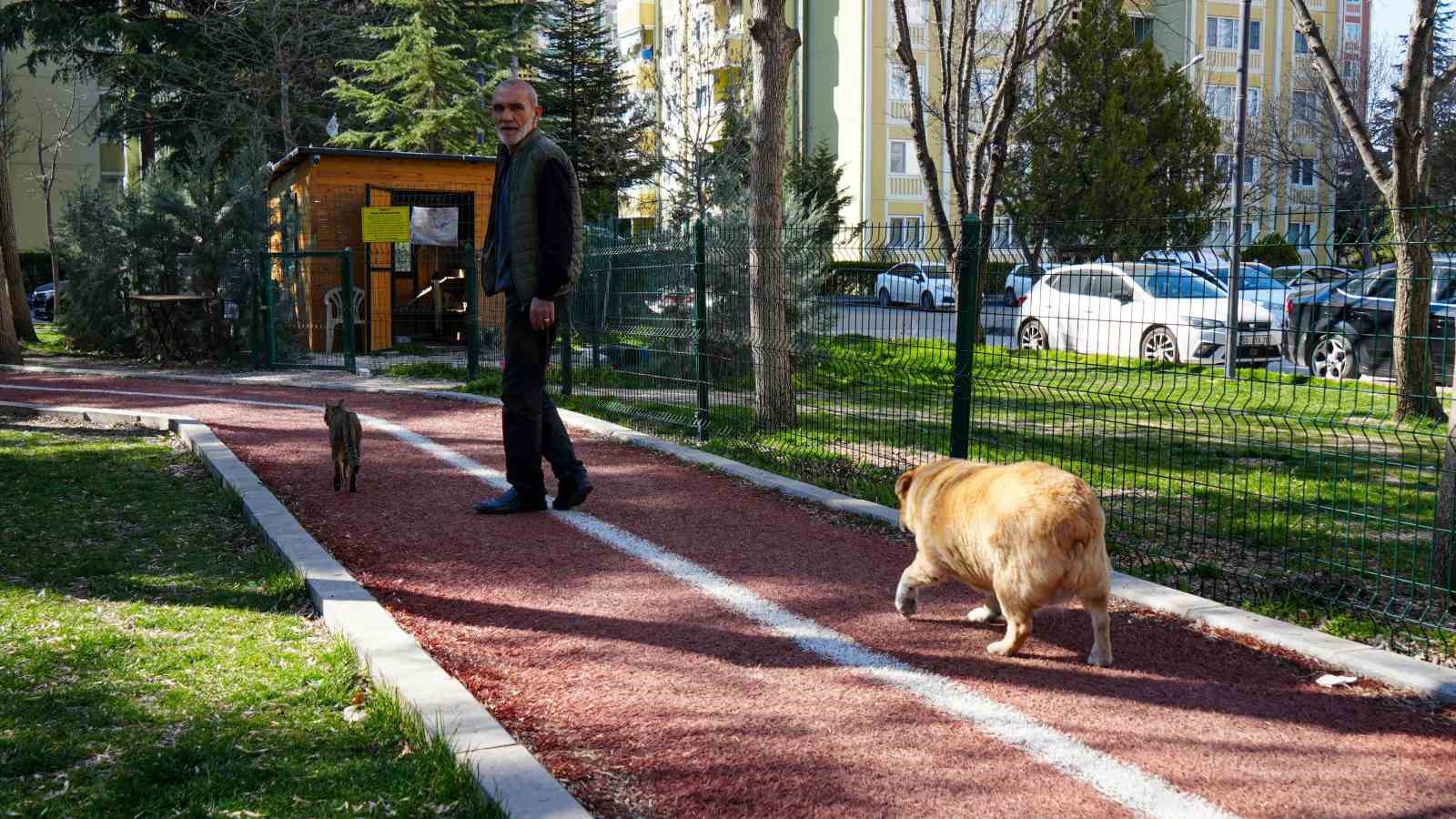13 yasindaki obez kopek kiz yuruyus yaparak zayifliyor 1 PSl38tfj