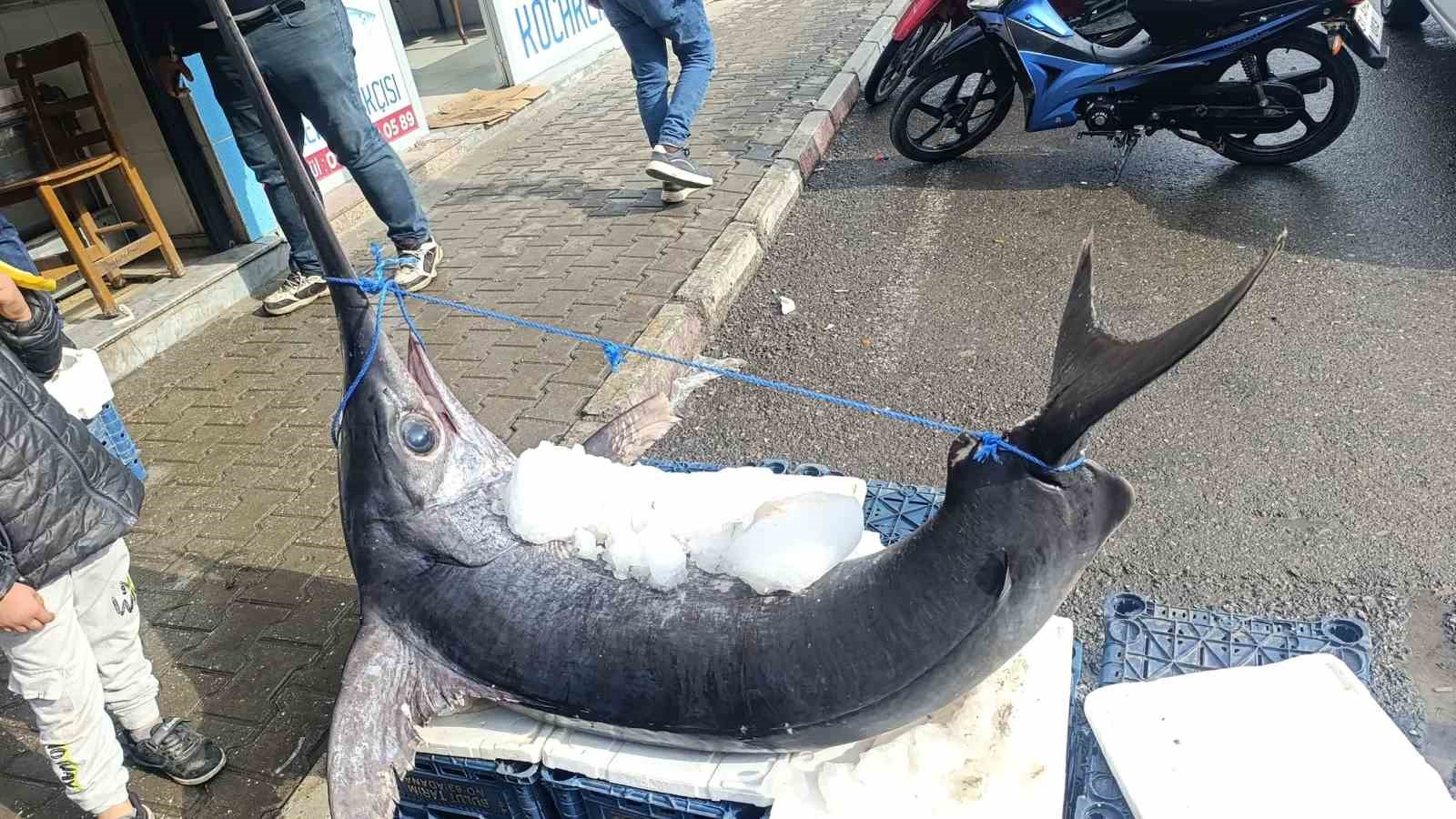 138 kiloluk kilic baligi ilgi odagi oldu 2 81PR3lnJ