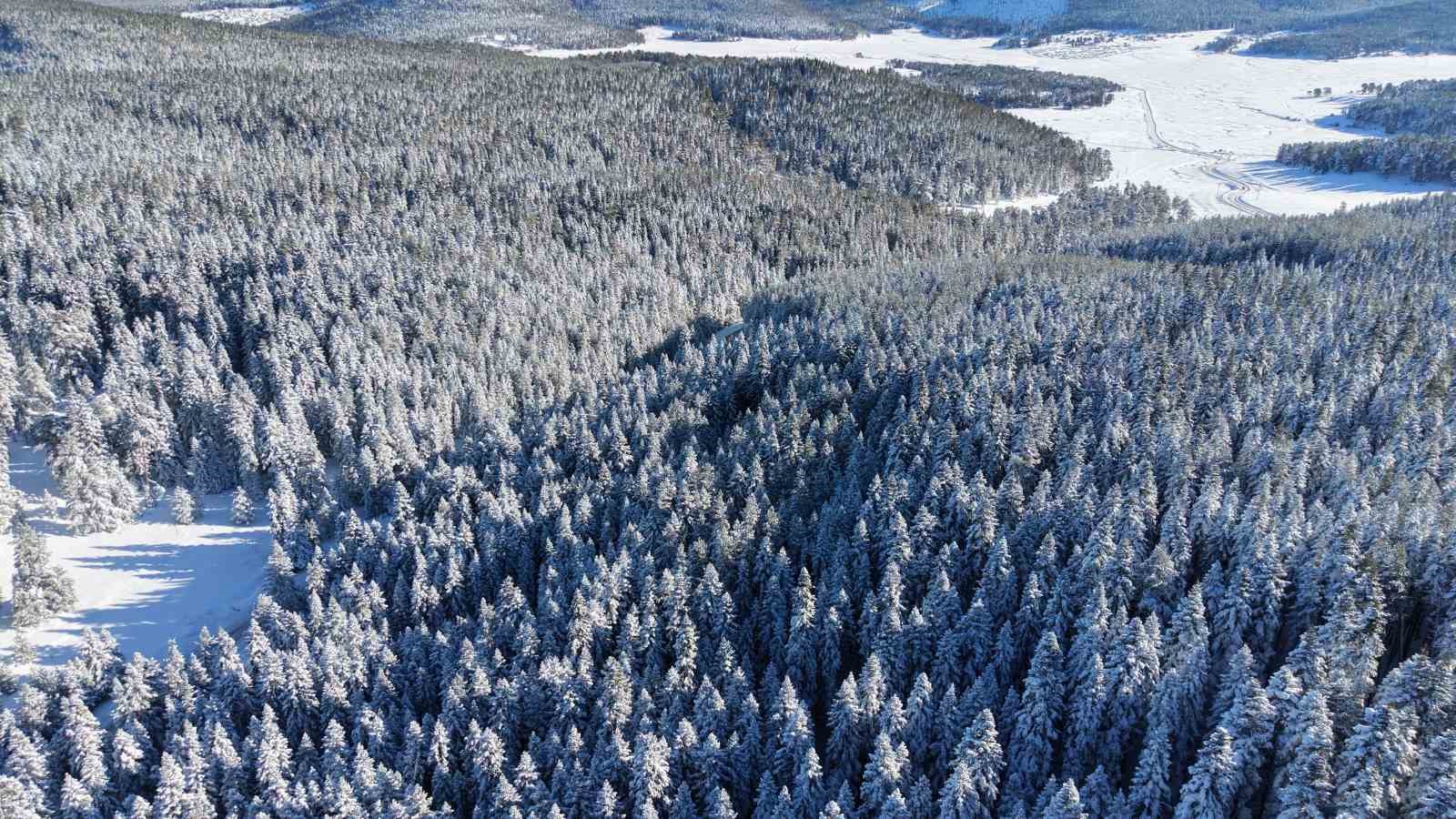 14 koyun yaylasinin bir arada bulundugu sarialanda kis guzelligi 1 H69Frv2z