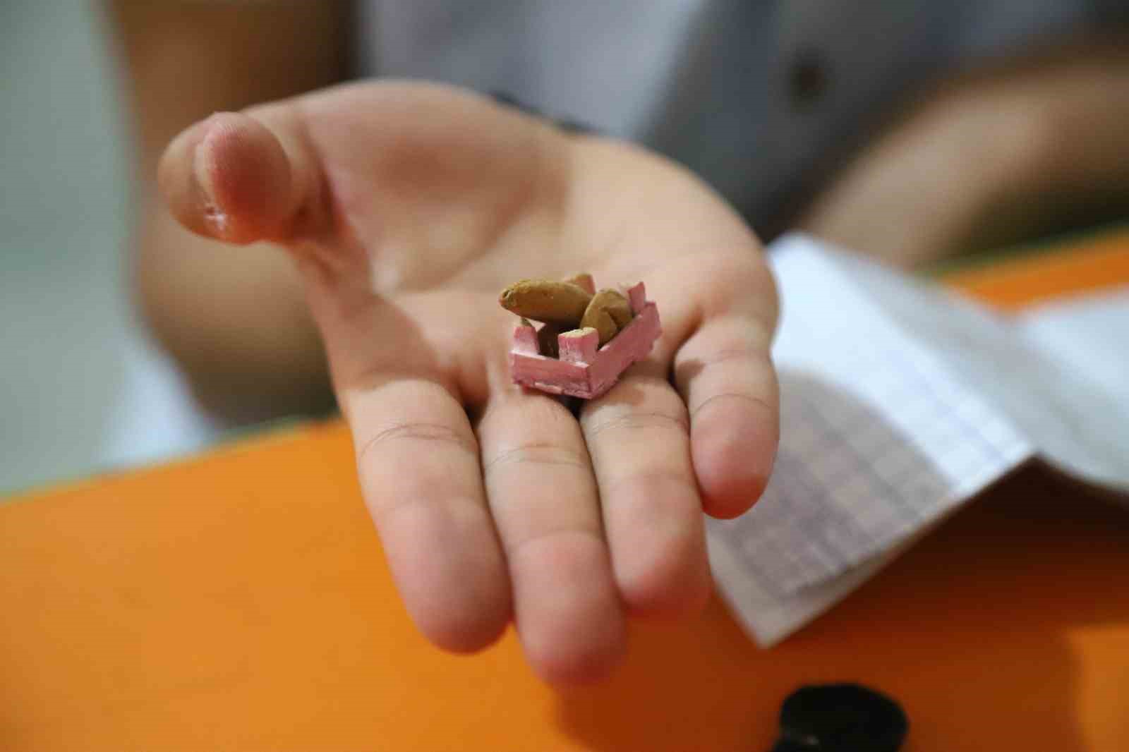 14 yaşında atık malzemeleri minyatür sanatına dönüştürüyor 5 14 yasinda atik malzemeleri minyatur sanatina donusturuyor 1 yct2zdeS
