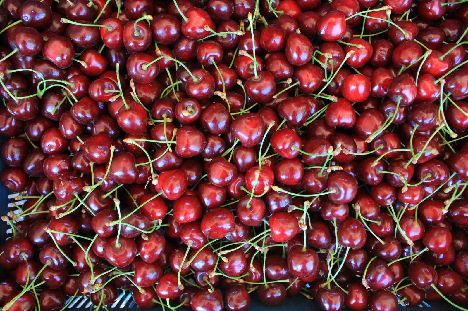 15 aralikta okullarda cografi isaret gunu kutlanacak 1