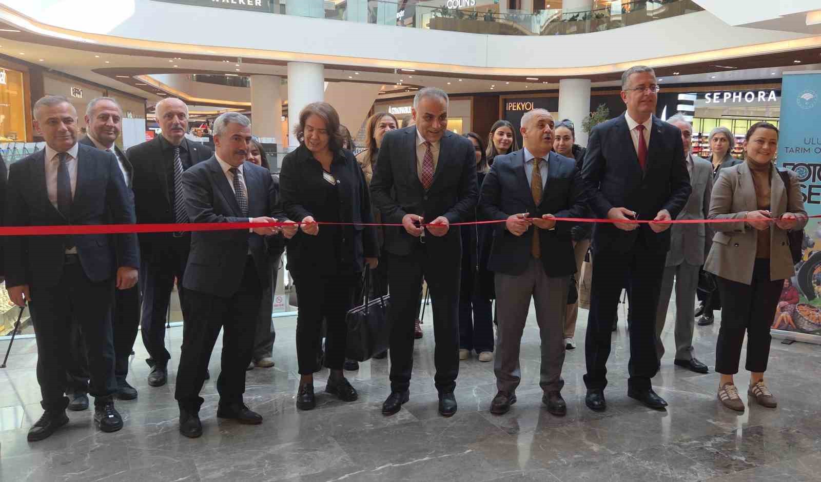 15. Uluslararası Tarım, Orman ve İnsan Fotoğraf Sergisi Samsun’da açıldı 5 15 uluslararasi tarim orman ve insan fotograf sergisi samsunda acildi 1 pOwlL2KS