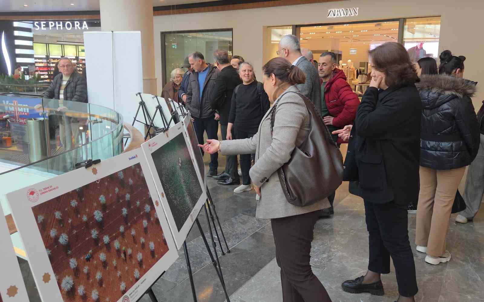 15. Uluslararası Tarım, Orman ve İnsan Fotoğraf Sergisi Samsun’da açıldı 10 15 uluslararasi tarim orman ve insan fotograf sergisi samsunda acildi 6 n7hqs12n