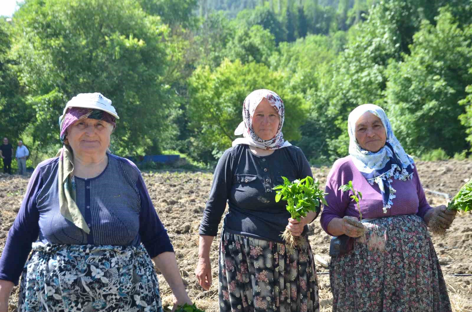 162 yildir ayni ata tohumu ile ekiyorlar 2 2aZhIC5E
