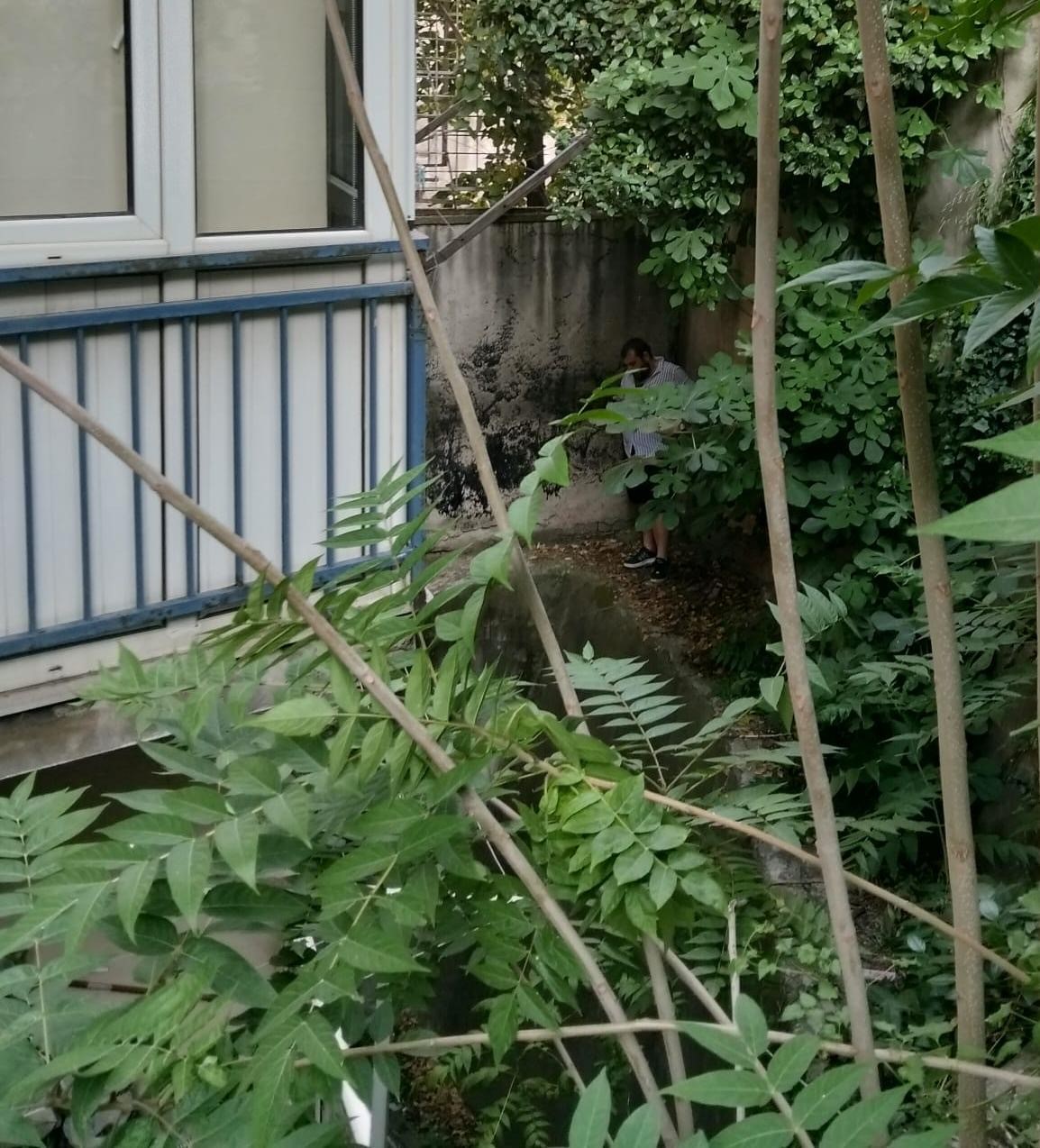 17 yıl hapis cezasıyla aranıyordu, bahçede saklanırken yakalandı 4 17 yil hapis cezasiyla araniyordu bahcede saklanirken yakalandi 0 MWw7rgh7