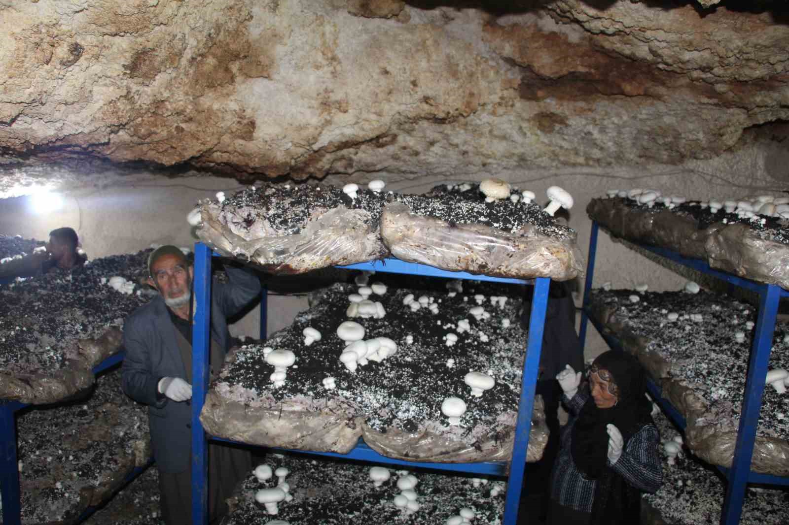 2 bin yillik tarihi magarada mantar uretim tesisi kurdu 3 WZefehia
