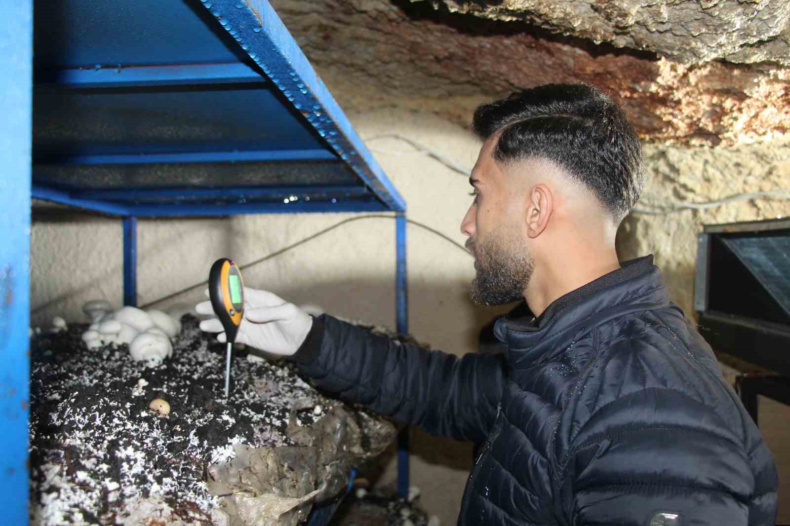 2 bin yillik tarihi magarada mantar uretim tesisi kurdu 8 4gH7Rpsc