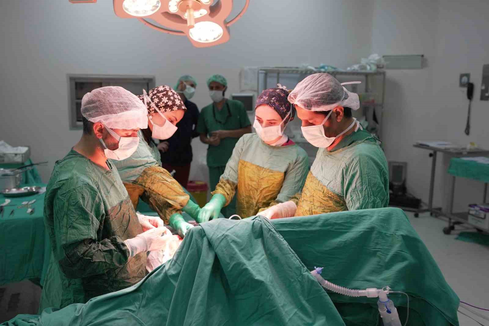 2 kilogrami asan dev tumor basariyla cikarildi 0 qSlRsEl6