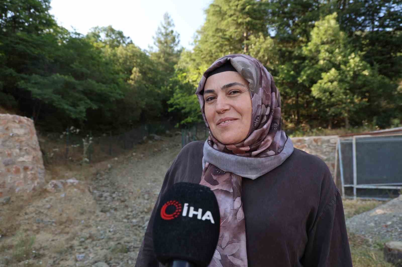 20 yıl önce serpilen sedir tohumları genç ormana dönüştü 6 20 yil once serpilen sedir tohumlari genc ormana donustu 2 YVJdueAA
