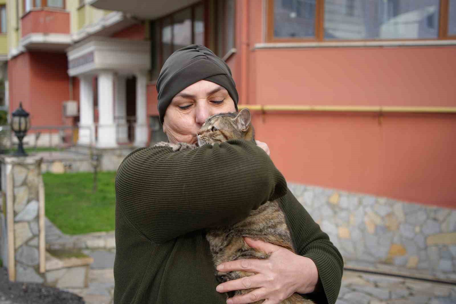 20 yildir sokak kedilerine annelik yapiyor sadece sevgi istiyorlar 0