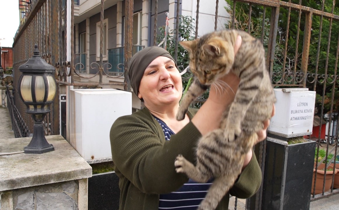 20 yildir sokak kedilerine annelik yapiyor sadece sevgi istiyorlar 1 3Vk9JJKn