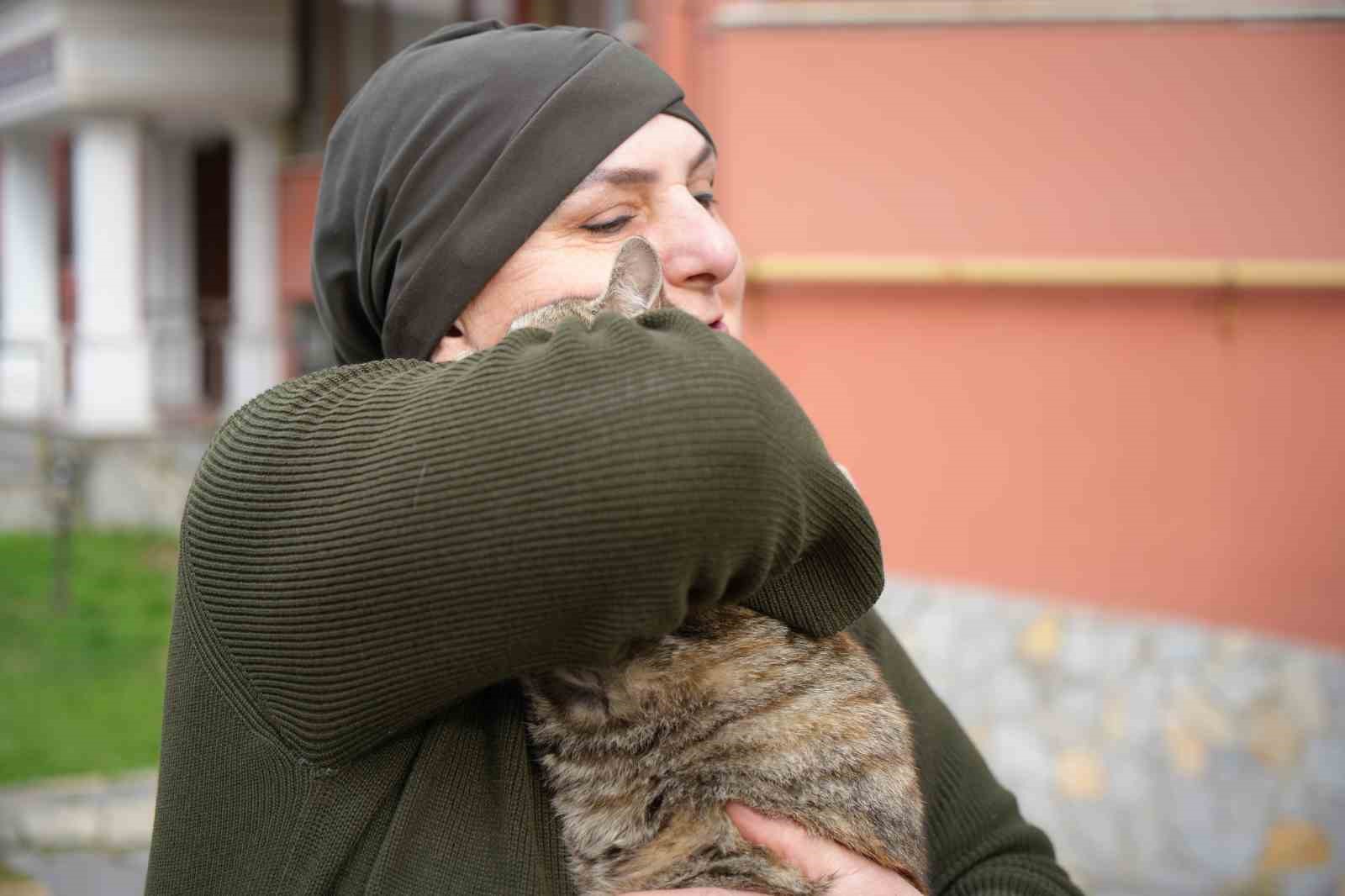 20 yildir sokak kedilerine annelik yapiyor sadece sevgi istiyorlar 4 vhIpKCYP