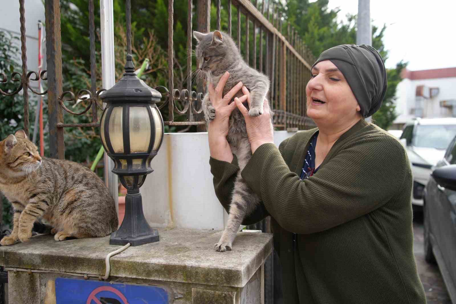 20 yildir sokak kedilerine annelik yapiyor sadece sevgi istiyorlar 5 uzeMj6RL