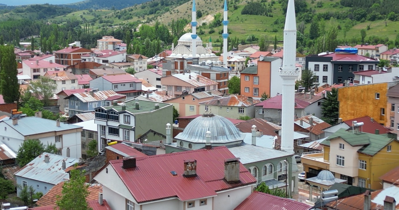 25 yil sonra ilceye gelen leylek ailesinde 1 yavru sag kalabildi 1