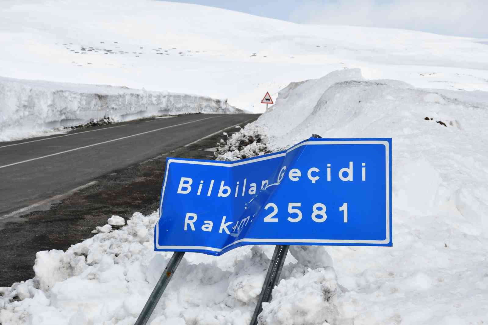 2581 rakimda aricilardan yol acma cagrisi 4