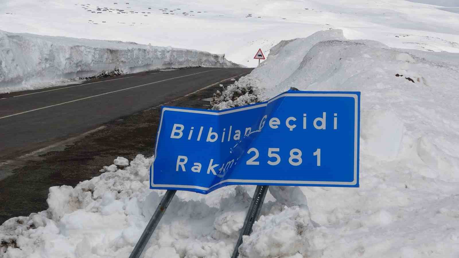 2581 rakimda aricilardan yol acma cagrisi 6 PNYvRhHc