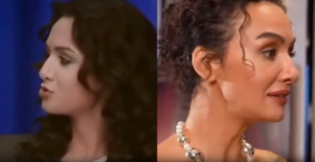 Birce Akalay’ın 21 yaşındaki mesleği neydi?