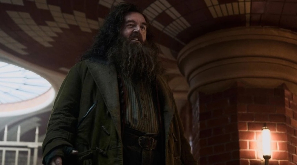 Harry Potter dizisi konusu ne olacak?