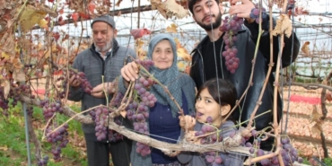 Amasyalı Feruziye nine