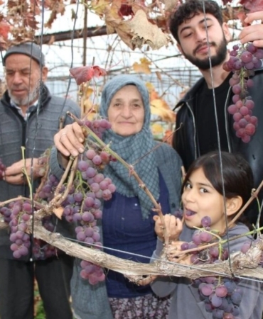 Amasyalı Feruziye nine