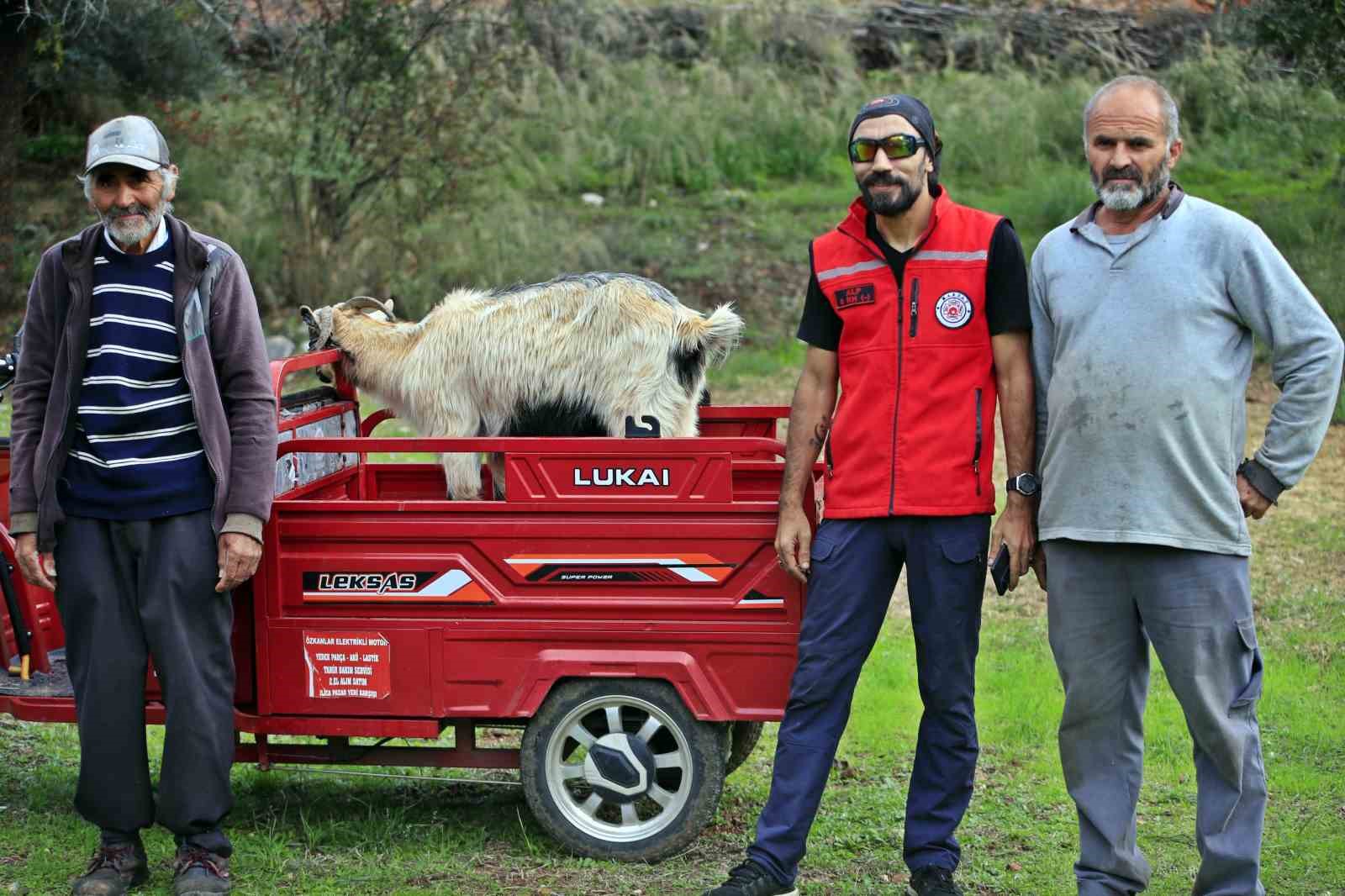 3 kecisini kurtlar yiyen yasli adam mahsur kaldigi ucurumdan kurtarilan son kecisine sarilip doyasiya 2WBUAHVt