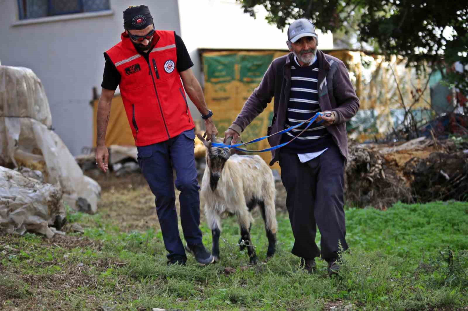 3 kecisini kurtlar yiyen yasli adam mahsur kaldigi ucurumdan kurtarilan son kecisine sarilip doyasiya AdhVC6uY