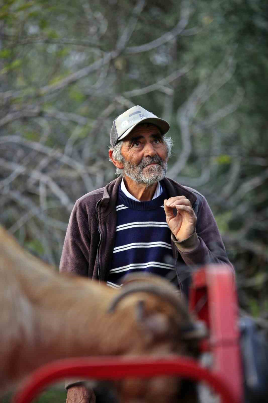 3 kecisini kurtlar yiyen yasli adam mahsur kaldigi ucurumdan kurtarilan son kecisine sarilip doyasiya DOOB3lSU
