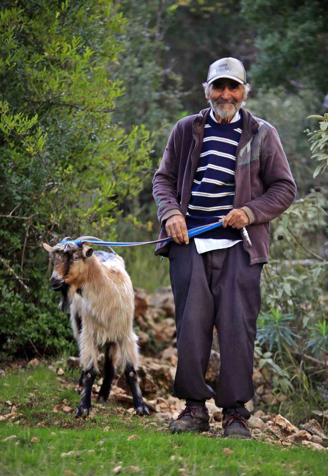 3 kecisini kurtlar yiyen yasli adam mahsur kaldigi ucurumdan kurtarilan son kecisine sarilip doyasiya OmYbDcG5