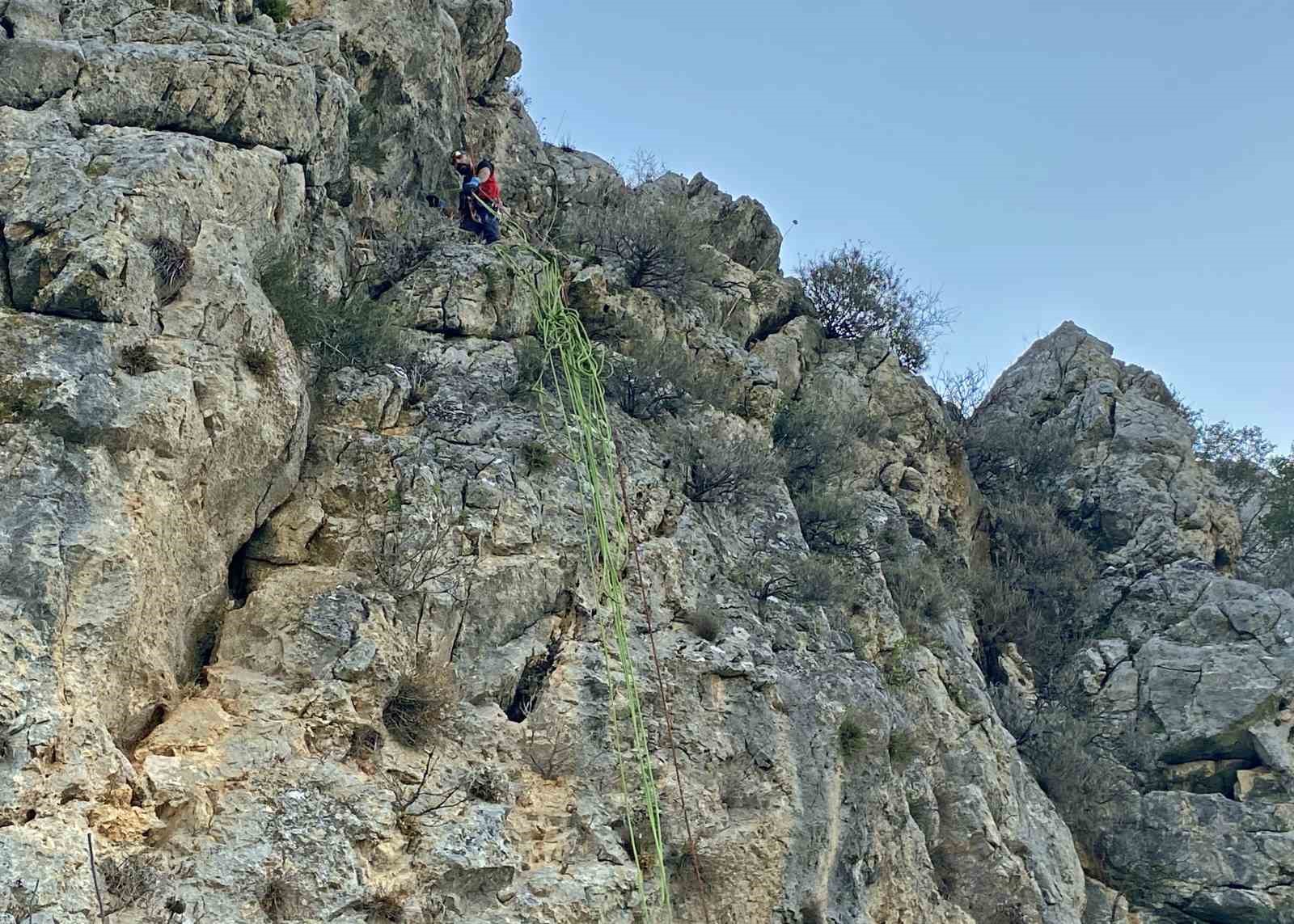 3 kecisini kurtlar yiyen yasli adam mahsur kaldigi ucurumdan kurtarilan son kecisine sarilip doyasiya igOMuSaT