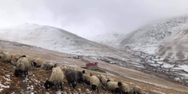 300-yillik-kullanima-mudahale-tepki-cekti-M4wfE7tf.jpg