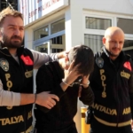 37-haftalik-hamile-esini-bacaklarindan-vurmustu-sanigin-tutukluluguna-devam-karari-qVrLGJ1j.jpg