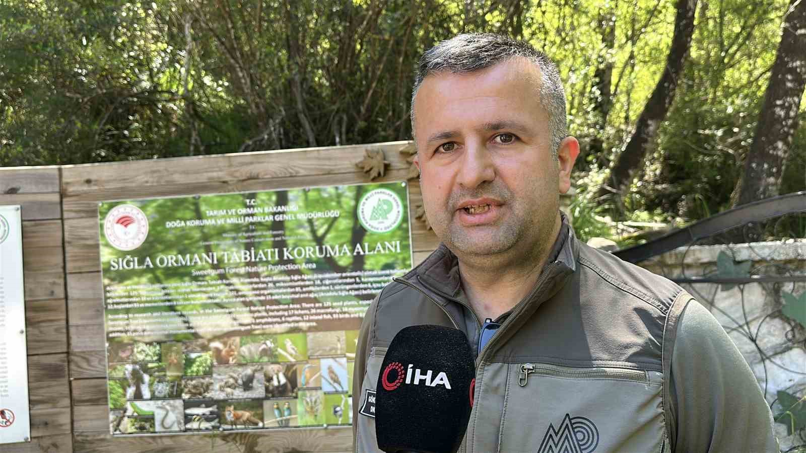 39 yildir korunan ve sadece bilim insanlarina hizmet veren orman 2