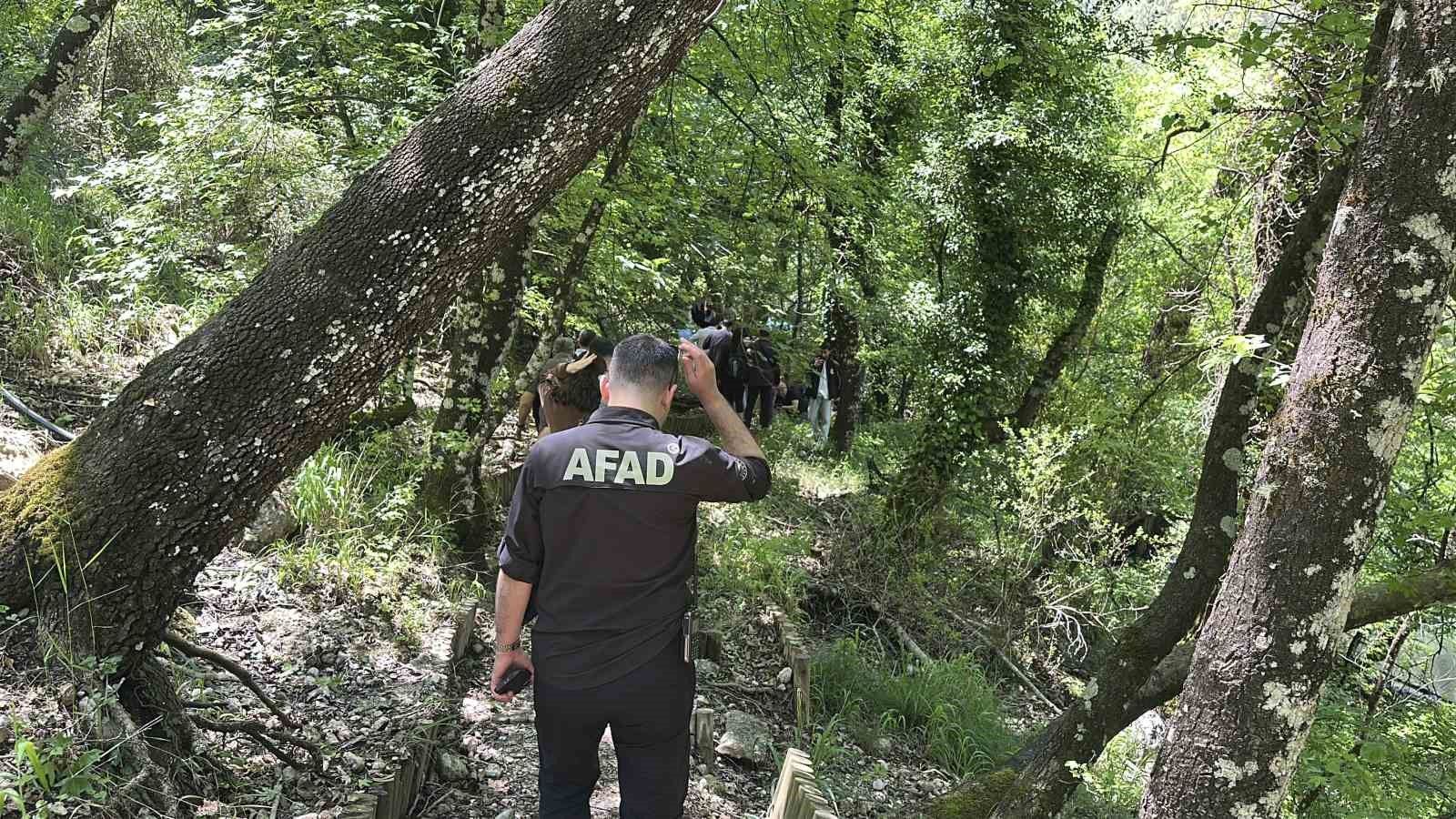 39 yildir korunan ve sadece bilim insanlarina hizmet veren orman 4