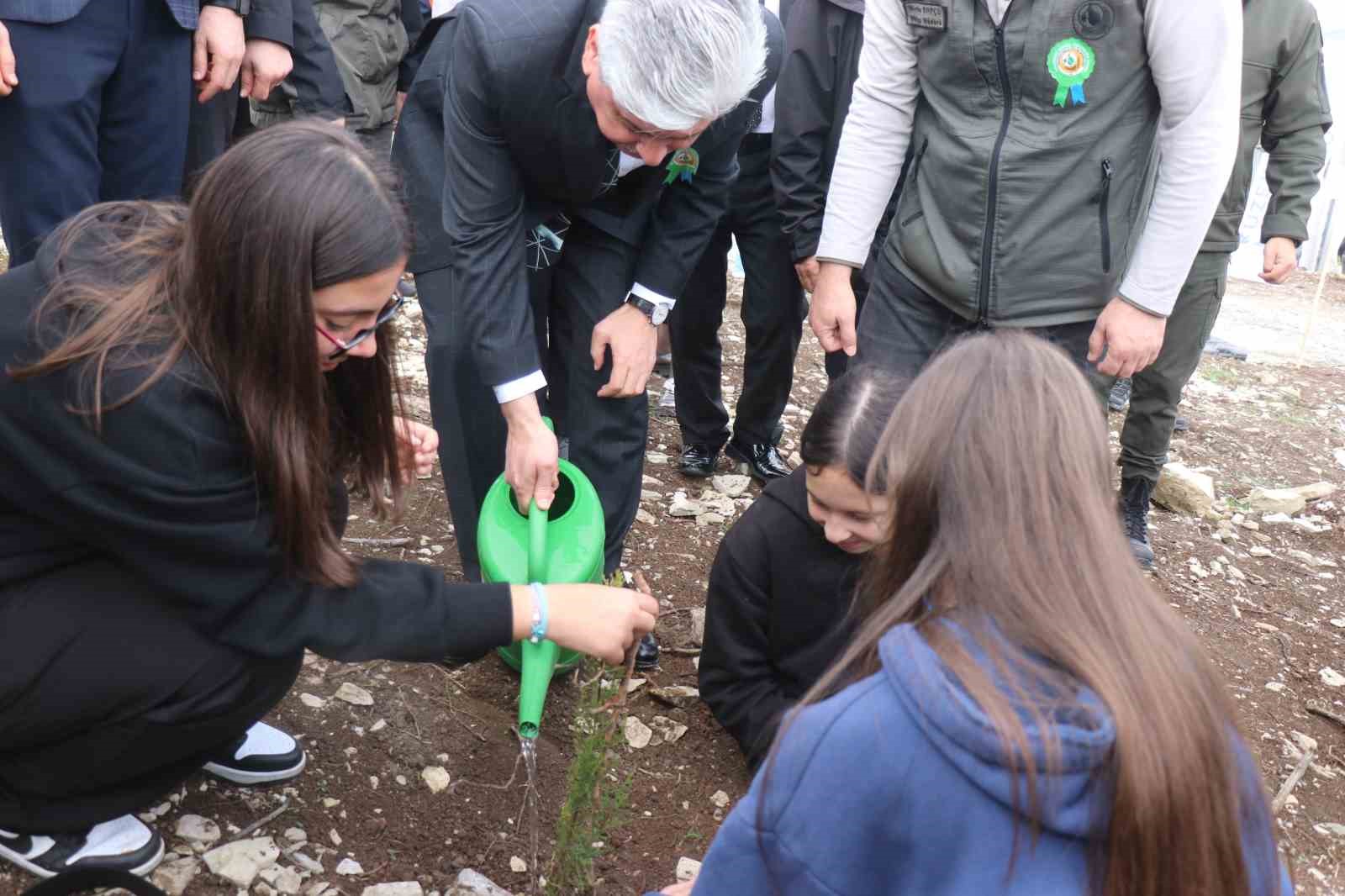 4 bin 500 fidan yanan ormanlik alanda toprakla bulustu 3 pXST6Qdt
