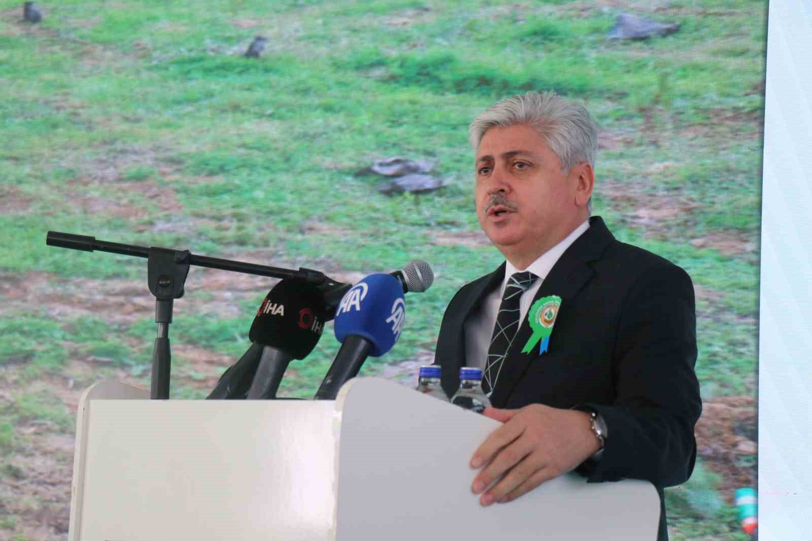 4 bin 500 fidan yanan ormanlik alanda toprakla bulustu 7 v9N8PLQb