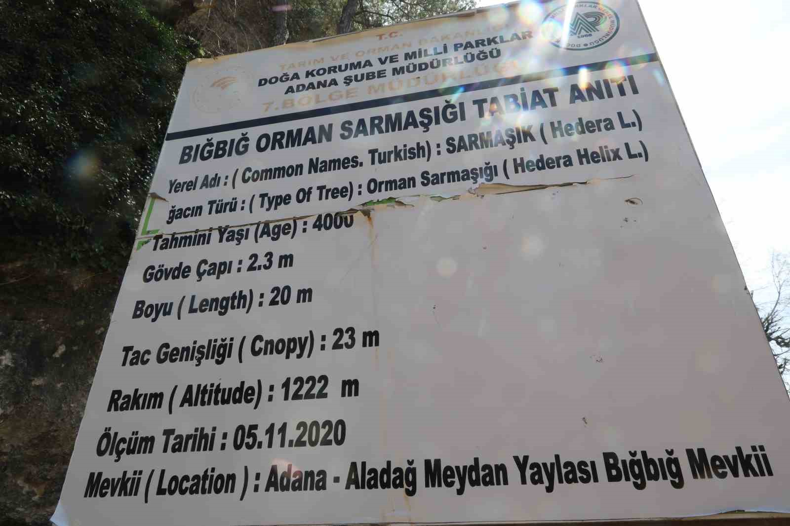 4 bin yillik sarmasigin golgesinde bahari karsiladilar 2 HKPFiZdK