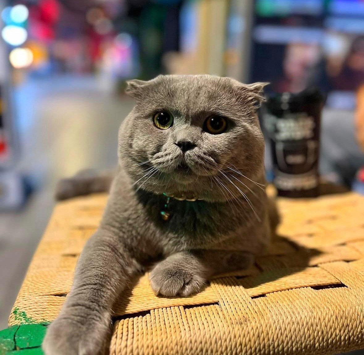 4 kattan atladi eve donmek istedi ama basaramayinca ortadan kayboldu 3 b9uThLVr