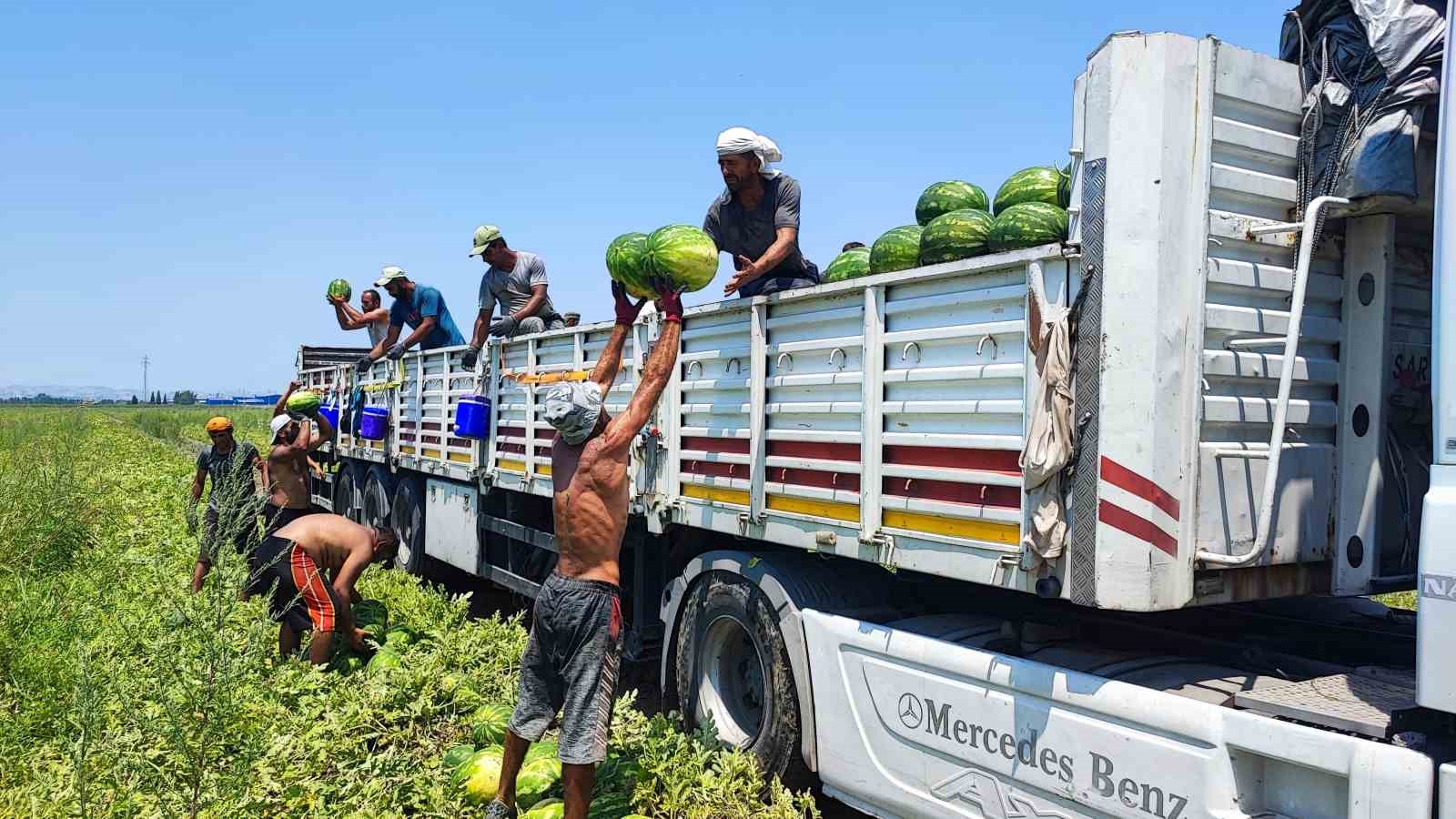 40 derece sicakta karpuz iscilerinin ekmek mucadelesi 1 e2WHzdN3