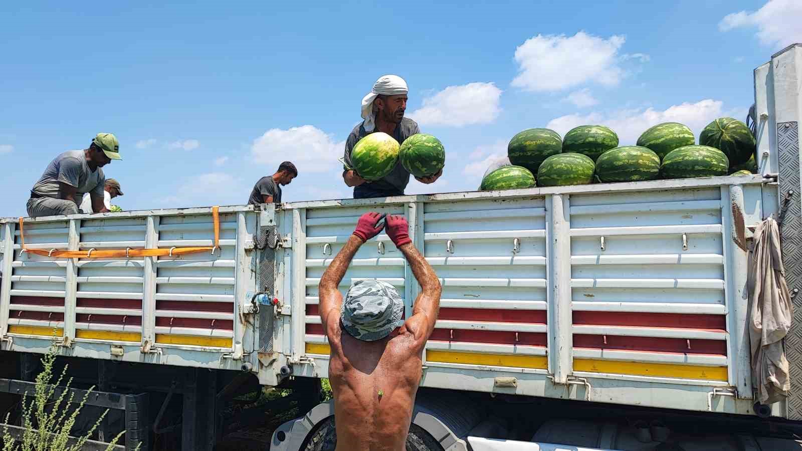 40 derece sicakta karpuz iscilerinin ekmek mucadelesi 2 CtHbPA1z