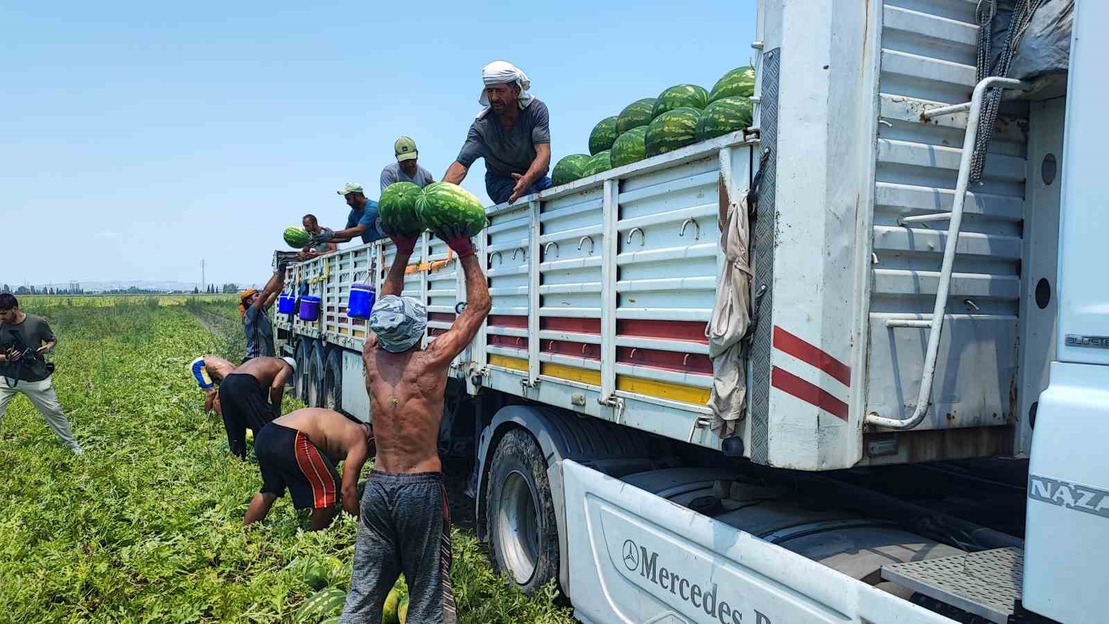 40 derece sicakta karpuz iscilerinin ekmek mucadelesi 4 pv178AyU