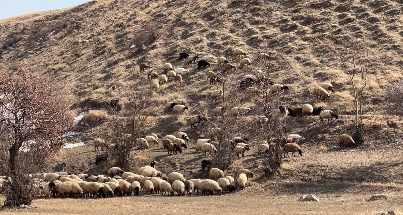 40 kilometre arayla iki mevsim yuksekovada kar esenderede bahar mesaisi 14 rf744Eft
